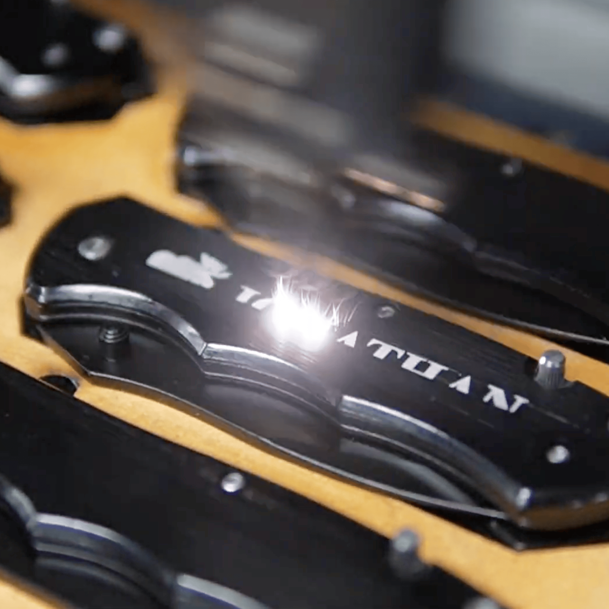 Pocket Knives "The Beast"